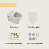 Los Flexi Belen wall hung toilet – installation overview