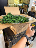 Artificial English Ivy Privacy Fence Panels 20”x20” Set of 12 UV-Resistant Faux Green Wall Decor