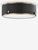 LED Steel Round Flush Mount Black Light with Brass Accents