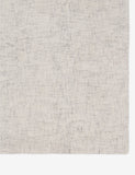 Gray Natural Funda Indoor / Outdoor Rug - 4’ x 6’