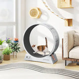 34” Indoor Cat Exercise Running Wheel Treadmill with Scratching Surface – Gray