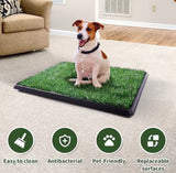 Artificial Grass Dog Potty Training Mat with Drainage Tray – 20” x 25”
