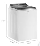 Whirlpool 4.7 Cu. Ft. Top-Load Washer with Pretreat Station