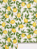 Lemon Wallpaper