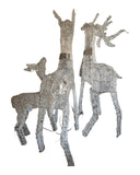 Alpine CHT1118A reindeer set – side view on white