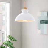 Matisse Single Dome Pendant with metal shade, in various colors