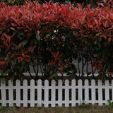 Garden Fence White Plastic Christmas Tree Fence Wedding Party Decorative Fence Miniature Indoor Garden Border Grass Lawn Edge Fence-8 Pcs (Small)