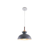 Matisse Single Dome Pendant with metal shade, in various colors