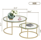 2pc Round Glass Accent Golden Nesting Table Coffee Set