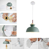 Matisse Single Dome Pendant with metal shade, in various colors